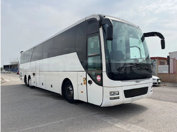 Coach MAN Lion's Coach