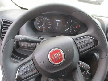 Small van Fiat Ducato: picture 5