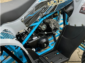 Side-by-side/ ATV Midi quad UltraMotocross, 125cc: picture 4