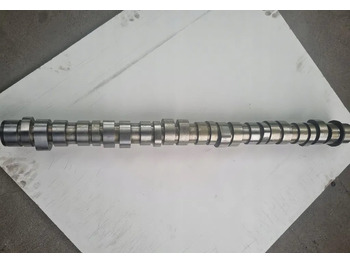 Camshaft RENAULT Magnum