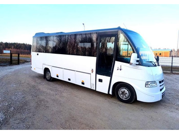 Coach Iveco Rapido / Daily 31 miejsc, stan idealny: picture 2