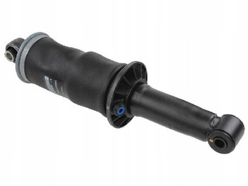 Shock absorber RENAULT T