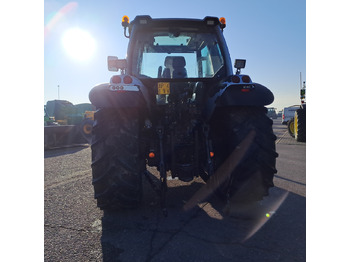 LAMBORGHINI CHAMPION 135 leasing LAMBORGHINI CHAMPION 135: picture 4