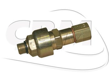 Door and parts IRISBUS
