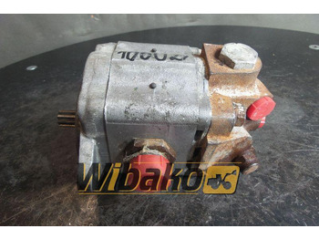 Hydraulic pump