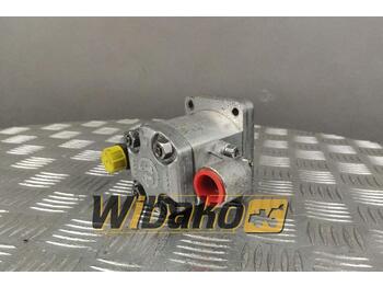 Hydraulic pump