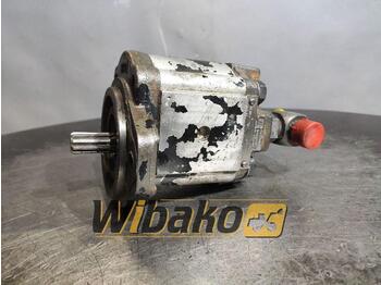 Hydraulic pump