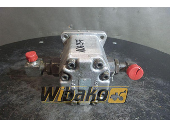 Hydraulic pump