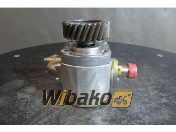 Hydraulic pump