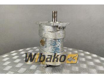 Hydraulic pump