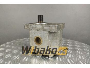 Hydraulic pump