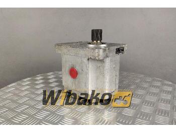 Hydraulic pump