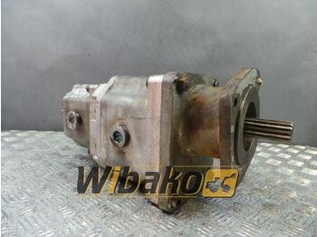 Hydraulic pump