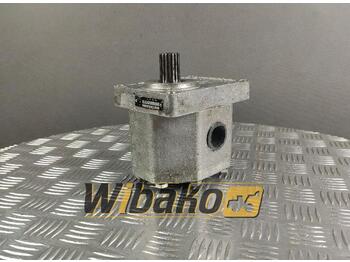 Hydraulic pump