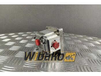 Hydraulic pump LAMBORGHINI