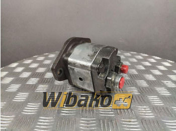 Hydraulic pump