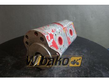 Hydraulic pump