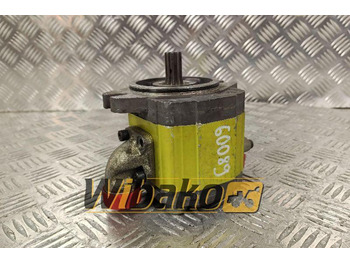 Hydraulic pump