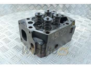 Cylinder head MAN