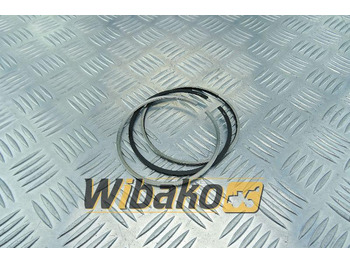 Piston/ Ring/ Bushing DEUTZ