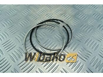 Piston/ Ring/ Bushing
