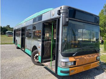 City bus IRISBUS