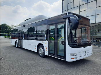 City bus MAN Lion's City A21