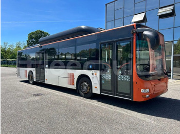 City bus MAN Lion's City