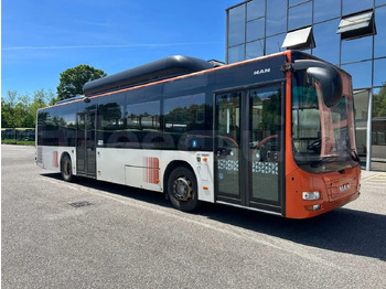 City bus MAN Lion's City