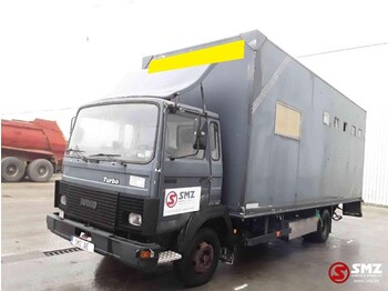 Livestock truck Iveco Magirus 80 16 horse truck: picture 3