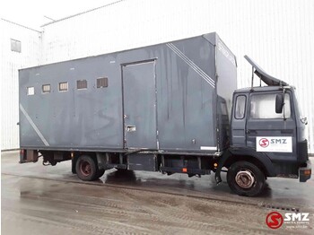 Livestock truck Iveco Magirus 80 16 horse truck: picture 4