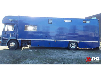 Livestock truck MAN 18.264: picture 4 Livestock truck MAN 18.264: picture 4