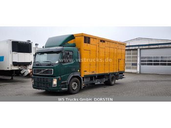 Horse truck Volvo FM 260 mit KABA 2 Stock Vollalu Viehtransporter: picture 2