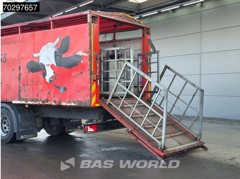 Livestock truck Scania P280 4X2 Cattle transport Automatic Full air suspension Euro 6: picture 3