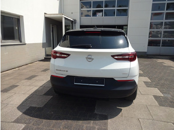 Opel Grandland (X) leasing Opel Grandland (X): picture 5