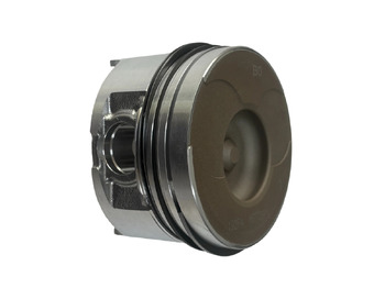 Piston/ Ring/ Bushing
