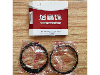 Piston/ Ring/ Bushing
