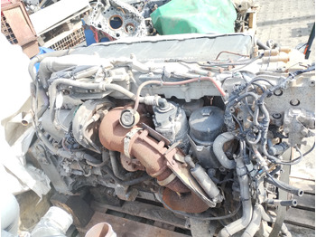 Cylinder head MAN