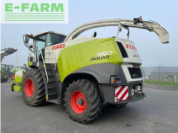 Forage harvester CLAAS Jaguar 950