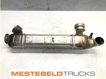 Exhaust system DAF