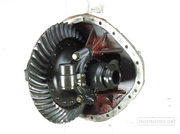 Differential gear DAF