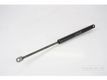 Door and parts DAF