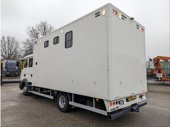 Horse truck MAN TGL 12.180 - Doka Horse transporter: picture 4