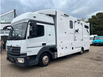 Horse truck MERCEDES-BENZ Atego 823