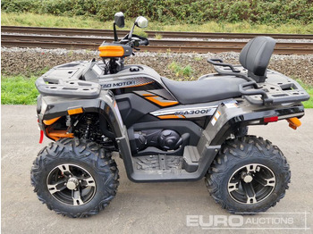 Side-by-side/ ATV Unused TAO Motors TGA300F: picture 2