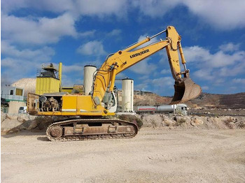 Liebherr R954CHD leasing Liebherr R954CHD: picture 2