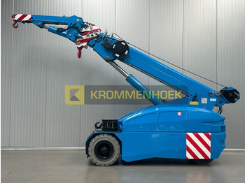 Mini crane
