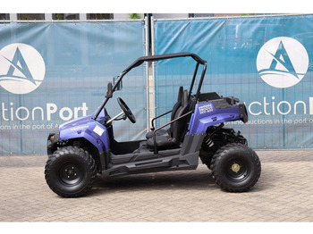 New Golf cart Wextrem UTV-ATV 200Pro: picture 2