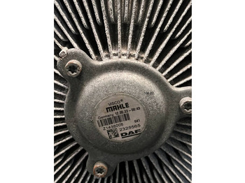 Fan DAF: picture 2 Fan DAF: picture 2