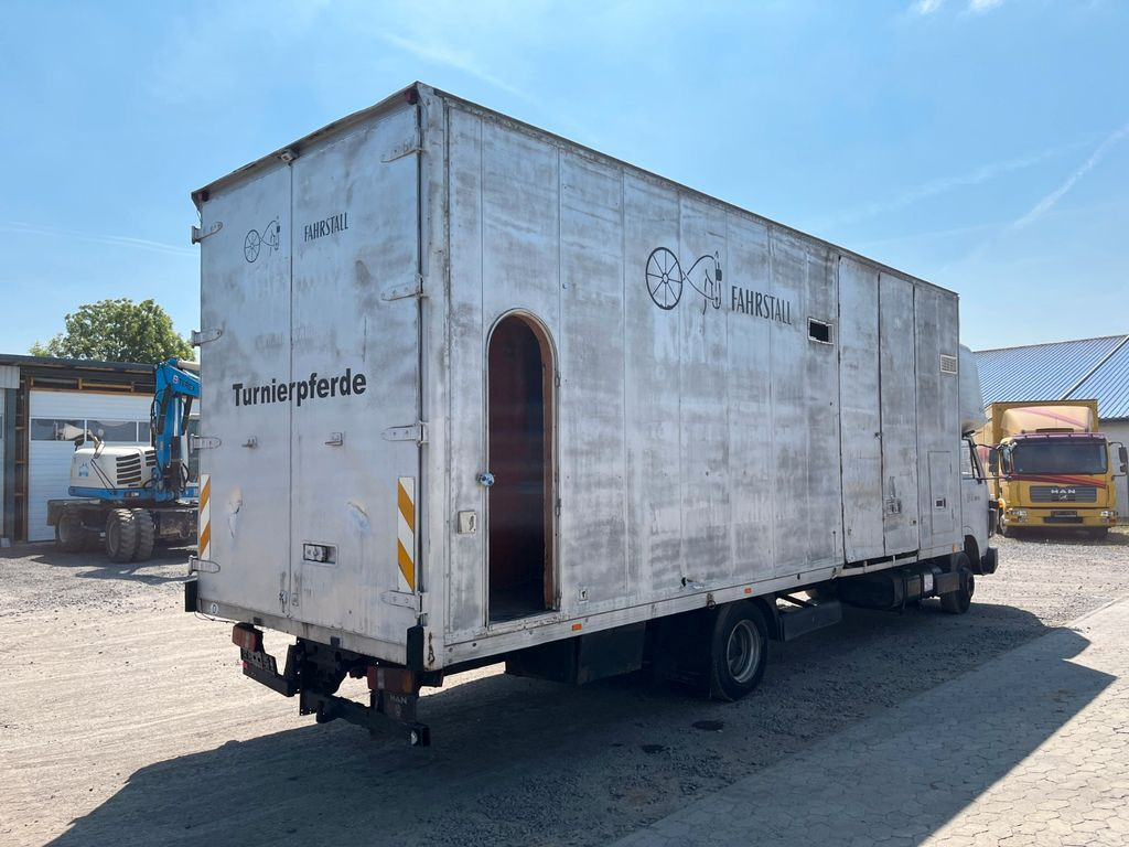 MAN VW-MAN LO2 Koffer Schlafkabine - Box van: picture 4 MAN VW-MAN LO2 Koffer Schlafkabine - Box van: picture 4